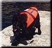 our mascott Nelli